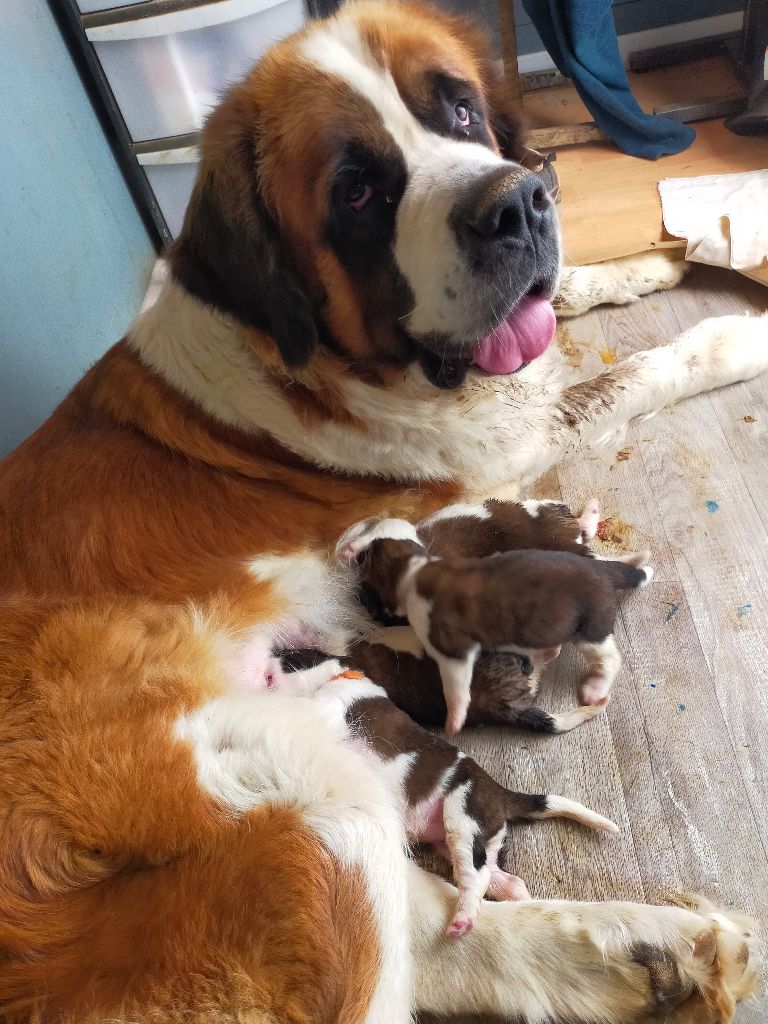 Les bébés ont 1 semaine